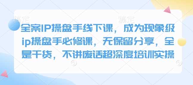 全案IP操盘手线下课，成为现象级ip操盘手必修课，无保留分享，全是干货，不讲废话超深度培训实操-耐玩网创