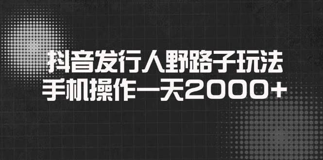 （14068期）抖音发行人野路子玩法，手机操作一天2000+-耐玩网创