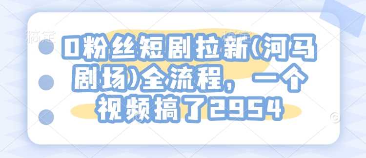 0粉丝短剧拉新(河马剧场)全流程，一个视频搞了2954-耐玩网创