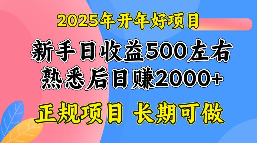 （14076期）2025开年好项目，单号日收益2000左右-耐玩网创