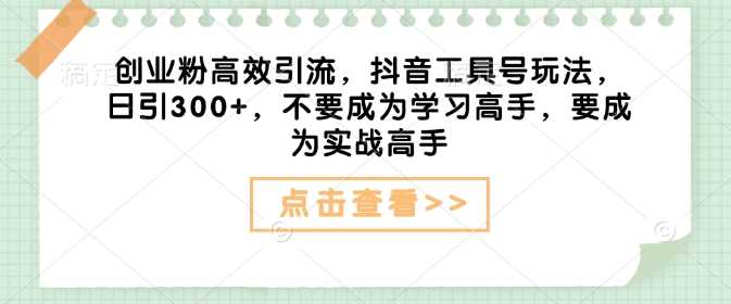 创业粉高效引流，抖音工具号玩法，日引300+，不要成为学习高手，要成为实战高手-耐玩网创