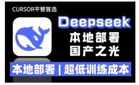 2025年deepseek R1 大型模型本地安装部署(文件+教程)本地部署，超低训练成本-耐玩网创