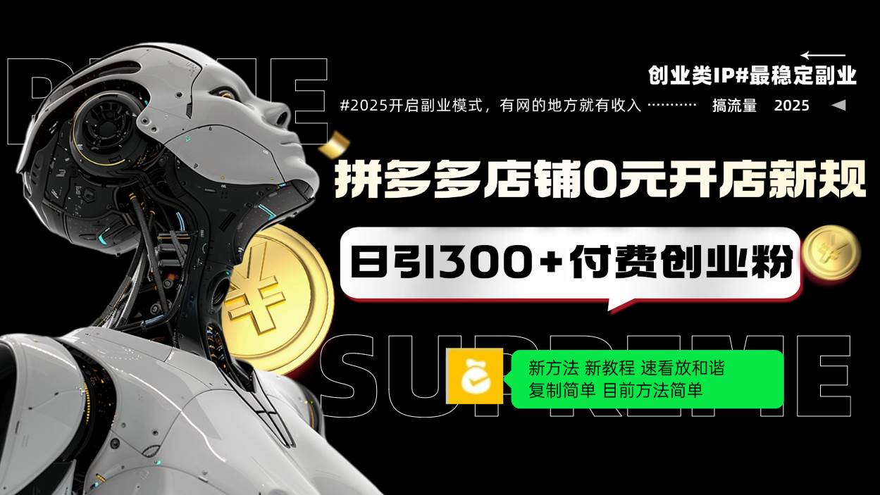 （14092期）拼多多店铺0元开店新规，日引300+付费创业粉，目前方法简单复制粘贴可矩阵-耐玩网创