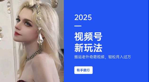 搬运老外奇葩视频，撸视频号分成计划收益，每天只需一小时，新手小白轻松月入过W-耐玩网创