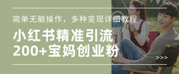 小红书混剪日引200+宝妈创业粉，简单无脑操作，多种变现详细教程-耐玩网创