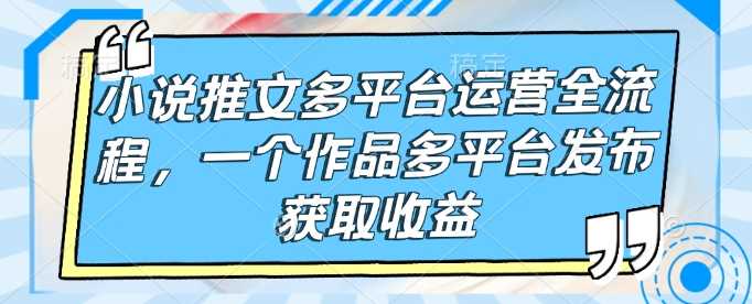 小说推文多平台运营全流程，一个作品多平台发布获取收益-耐玩网创