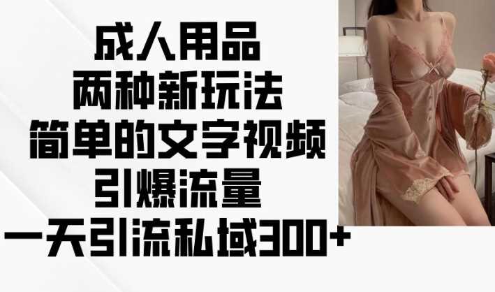 成人用品两种新玩法，简单的文字视频引爆流量，一天引流私域300+-耐玩网创