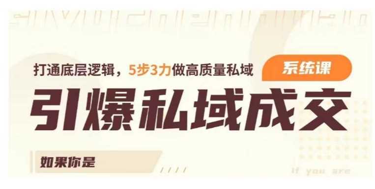 引爆私域成交力系统课，打通底层逻辑，5步3力做高质量私域-耐玩网创