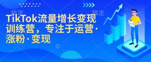 TikTok流量增长变现训练营，专注于运营·涨粉·变现-耐玩网创