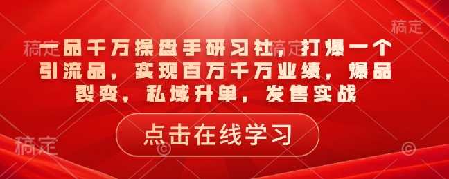 一品千万操盘手研习社，打爆一个引流品，实现百万千万业绩，爆品裂变，私域升单，发售实战-耐玩网创