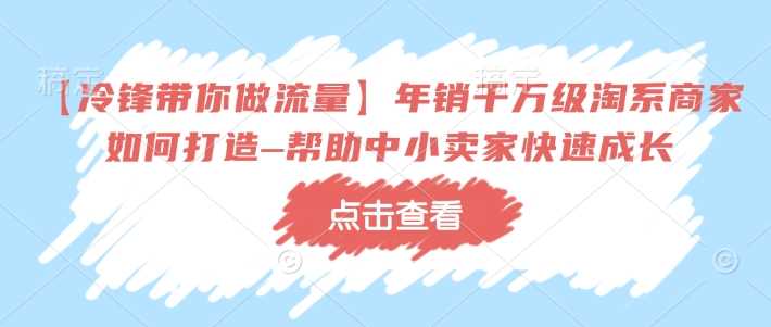 【冷锋带你做流量】年销千万级淘系商家如何打造–帮助中小卖家快速成长-耐玩网创