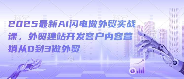2025最新AI闪电做外贸实战课，外贸建站开发客户内容营销从0到3做外贸-耐玩网创
