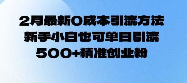 2月最新0成本引流方法，新手小白也可单日引流500+精准创业粉-耐玩网创