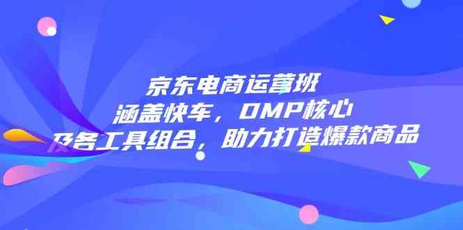 京东电商运营班：涵盖快车，DMP核心及各工具组合，助力打造爆款商品-耐玩网创