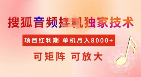 全网首发搜狐音频挂JI独家技术，项目红利期，可矩阵可放大，稳定月入8k【揭秘】-耐玩网创
