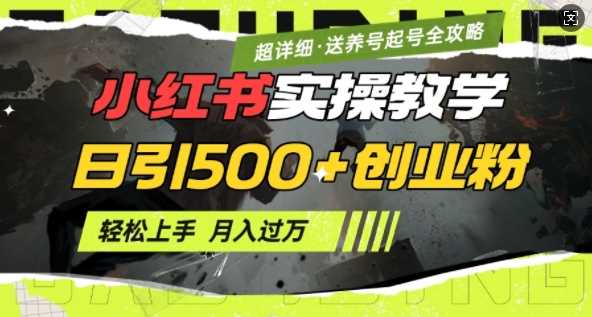 2月小红书最新日引500+创业粉实操教学【超详细】小白轻松上手，月入1W+，附小红书养号起号SOP-耐玩网创