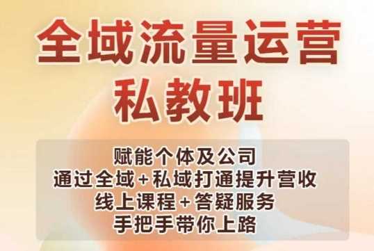 全域流量运营操盘课，赋能个体及公司通过全域+私域打通提升营收-耐玩网创