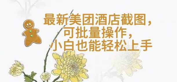 【轻云】最新美团酒店截图，可批量操作，小白也能轻松上手-耐玩网创