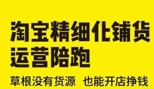 淘宝精细化铺货运营陪跑(部分更新至2025)，草根没有货源 也能开店挣钱-耐玩网创