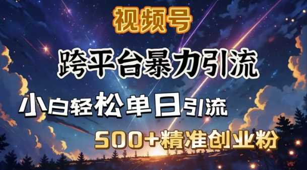 跨平台暴力引流，私域完美闭环，日引500+精准创业粉-耐玩网创