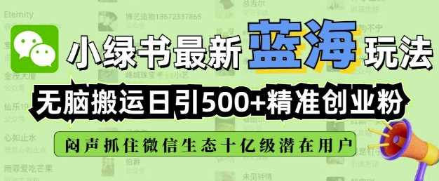 小绿书无脑搬运引流，全自动日引500精准创业粉，微信生态内又一个闷声发财的机会-耐玩网创