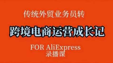 跨境电商速卖通运营课，​运营方法论+后台实操，逻辑清晰-耐玩网创