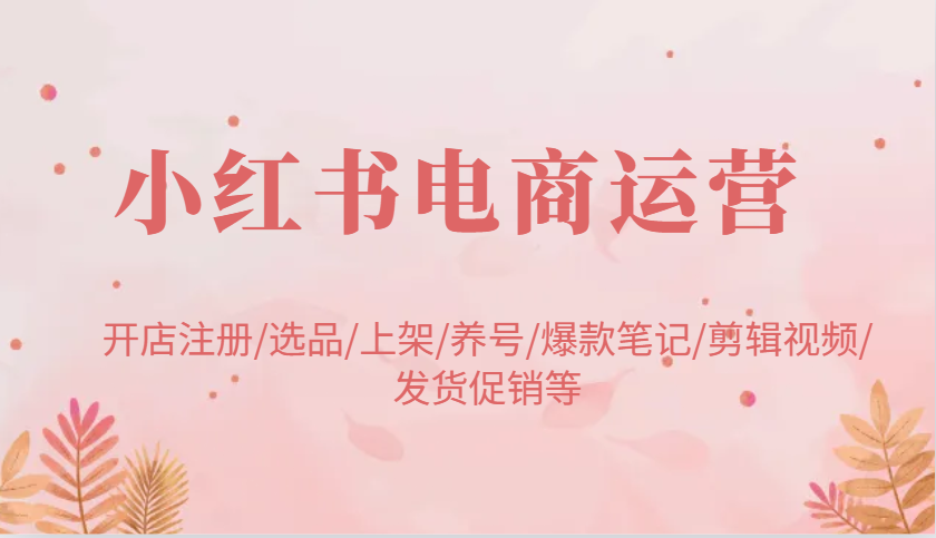 小红书电商运营：开店注册/选品/上架/养号/爆款笔记/剪辑视频/发货促销等-耐玩网创