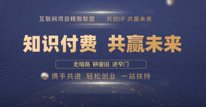 别人苦寻无果，为何他们靠知识付费卖项目 2025 年轻松年入100个?【揭秘】-耐玩网创