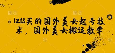 1288买的国外美女起号技术，国外美女搬运教学-耐玩网创