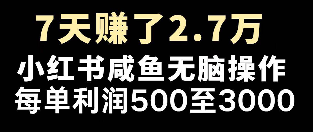 （14183期）最赚钱项目之一，2025爆火，逆风翻盘！-耐玩网创