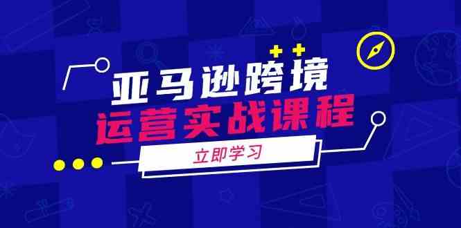 亚马逊跨境运营实战课程：涵盖亚马逊运营、申诉、选品等多个方面-耐玩网创