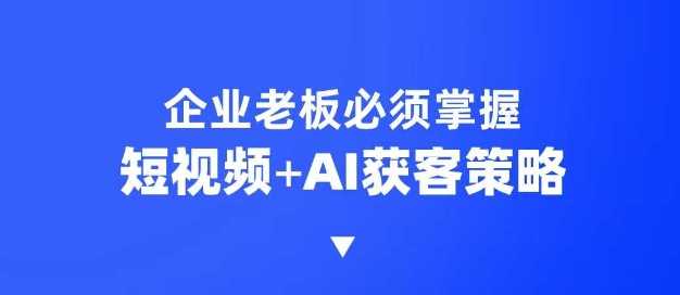 企业短视频AI获客霸屏流量课，6步短视频+AI突围法，3大霸屏抢客策略-耐玩网创