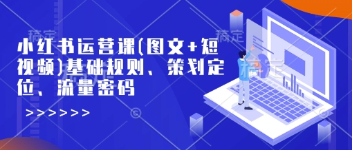 小红书运营课(图文+短视频)基础规则、策划定位、流量密码-耐玩网创