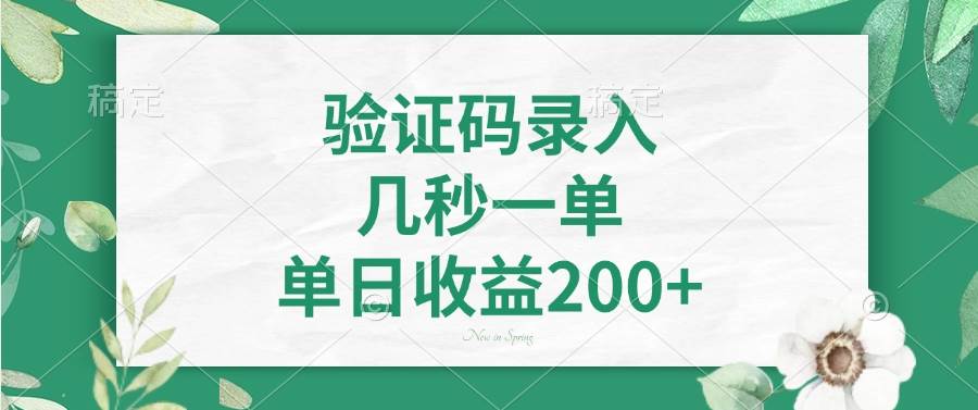 （14221期）验证码录入，几秒一单，单日收益200+-耐玩网创