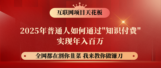 镰刀训练营超级IP合伙人，25年普通人如何通过“知识付费”年入百万！-耐玩网创