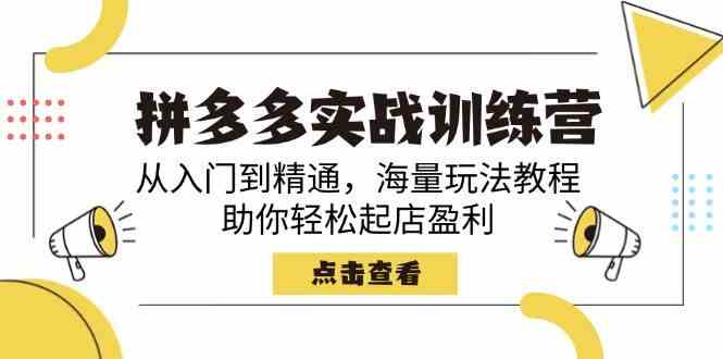 拼多多实战训练营，从入门到精通，海量玩法教程，助你轻松起店盈利-耐玩网创