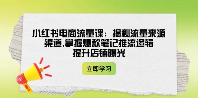 小红书电商流量课：揭秘流量来源渠道,掌握爆款笔记推流逻辑,提升店铺曝光-耐玩网创