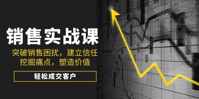 销售实战课，突破销售困扰，建立信任，挖掘痛点，塑造价值，轻松成交客户-耐玩网创