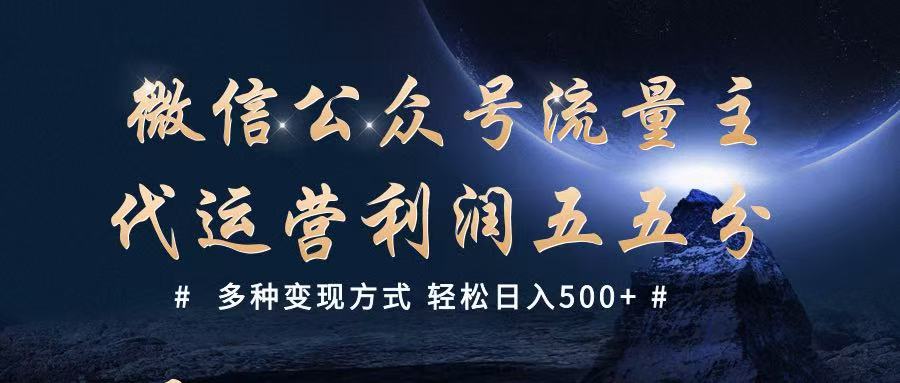 公众号流量主代运营  多种变现方式 轻松日入500+-耐玩网创
