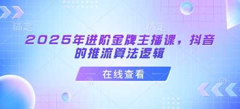 2025年进阶金牌主播课，抖音的推流算法逻辑-耐玩网创