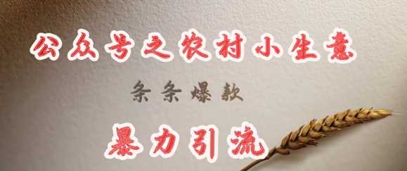 deepseek写农村小项目，条条爆款，暴力引流-耐玩网创