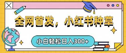 小红书种草，手机项目，日入3张，复制黏贴即可，可矩阵操作，动手不动脑【揭秘】-耐玩网创