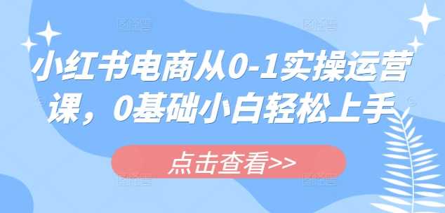 小红书电商从0-1实操运营课，0基础小白轻松上手-耐玩网创