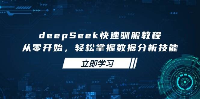 （14536期）deepSeek快速驯服教程，从零开始，轻松掌握数据分析技能-耐玩网创