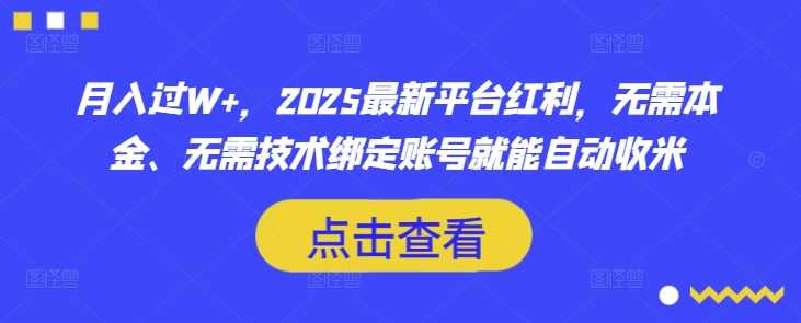 月入过W+，2025最新平台红利，无需本金、无需技术绑定账号就能自动收米-耐玩网创