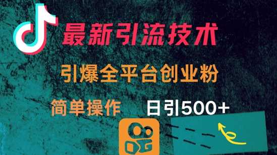 最新引流方法，引爆全平台的一个创业粉，简单操作日引300+-耐玩网创