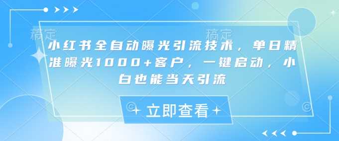 小红书全自动曝光引流技术，单日精准曝光1000+客户，一键启动，小白也能当天引流【揭秘】-耐玩网创