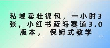 私域卖壮锦包，一小时3张，小红书蓝海赛道3.0版本， 保姆式教学-耐玩网创