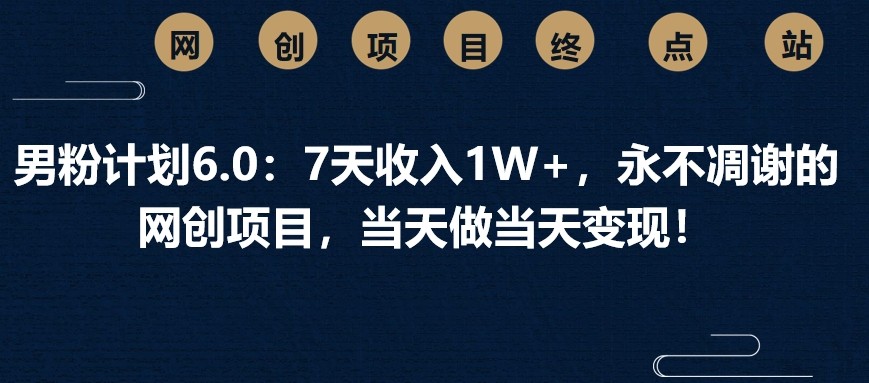 男粉计划6.0：7天收入1W+，永不凋谢的网创项目，当天做当天变现！-耐玩网创