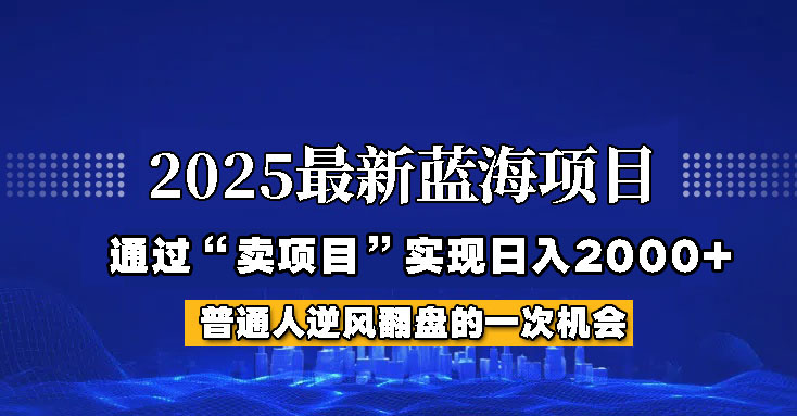 2025年蓝海项目，如何通过“网创项目”日入2000+-耐玩网创